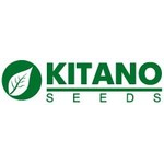 Семена Китано / Kitano