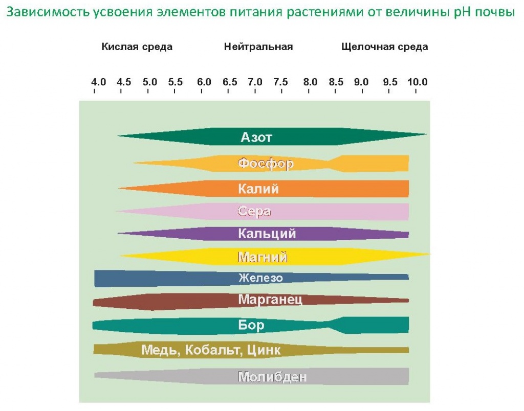 pH почвы 1.png