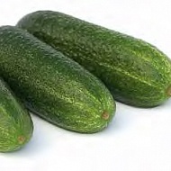 Огурец корнишон