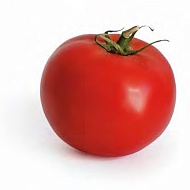 Томат