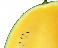 Оранж Кинг F1