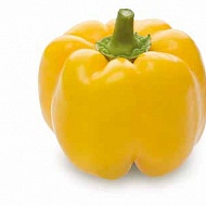 Перец сладкий