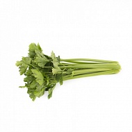 Сельдерей черешковый